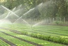 Corinella VIClandscaping-irrigation-11.jpg; ?>