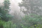 Corinella VIClandscaping-irrigation-4.jpg; ?>