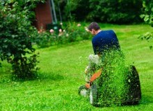 Kwikfynd Lawn Mowing
corinellavic
