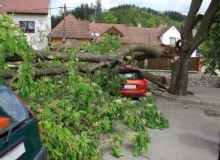 Kwikfynd Tree Cutting Services
corinellavic