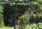 Corinella VICvegetable-gardens-13.jpg; ?>