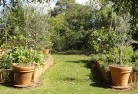 Corinella VICvegetable-gardens-3.jpg; ?>